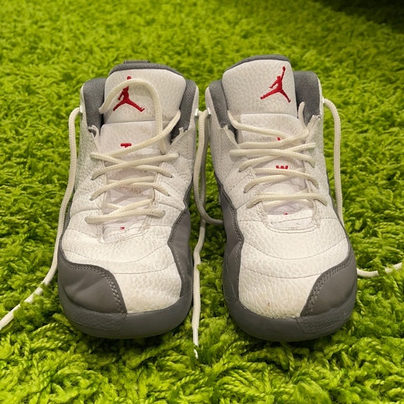 jordan retro 12 size 15